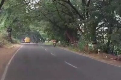 Beyond Urban Bustle, Unique Roadway Between Kalavasal And Theni Bypass Delights Explorers
