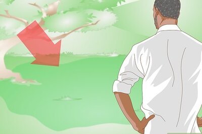 How to Build an Outdoor Rabbit Cage