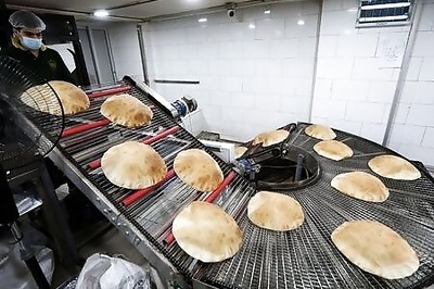 World Food Programme to send 50,000 T of wheat flour to Lebanon