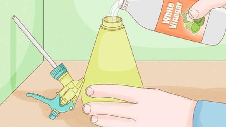 How to Control Slugs with Vinegar in 6 Easy Steps