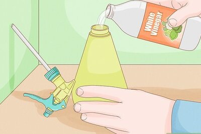 How to Control Slugs with Vinegar in 6 Easy Steps
