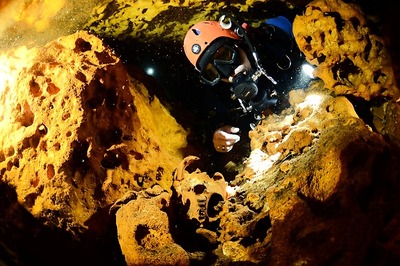 Ancient Human Remains, Ice Age Animal Bones Found in Giant Mexican Cave