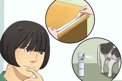 How to Prevent Cats from Jumping on Counters