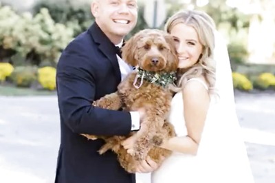 This US Company Grooms, Dresses Pets For Your Wedding Day
