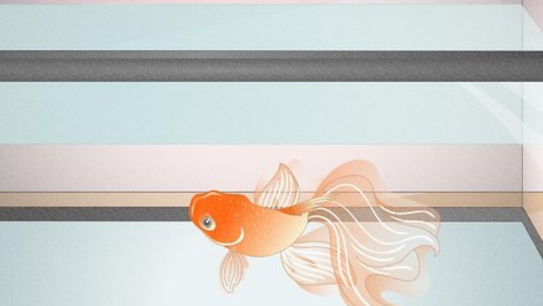 How to Plan an Aquarium