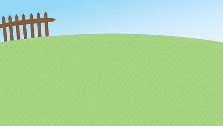 How to Buy a Lawn Mower