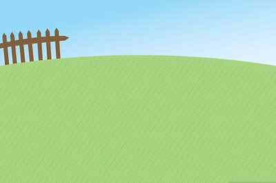 How to Buy a Lawn Mower