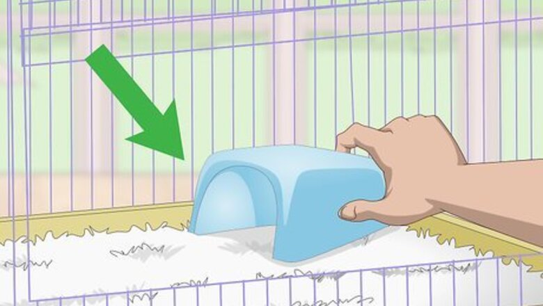 How to Choose a Hideaway for Your Hamster