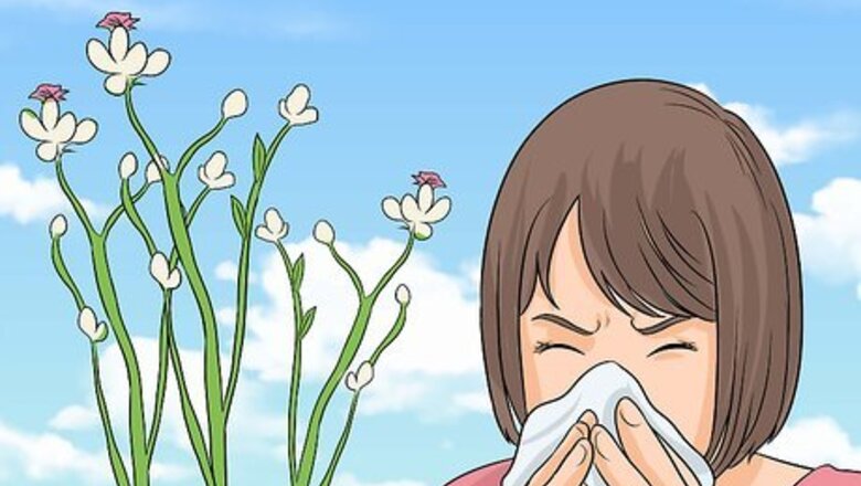 How to Prevent Asthma