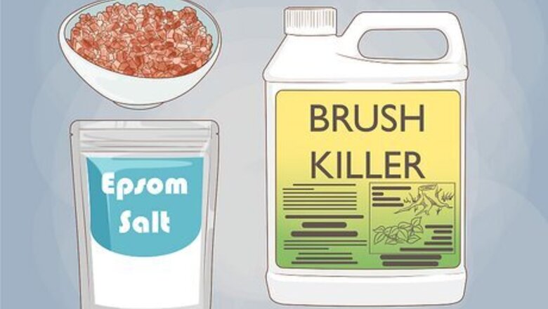 How to Kill and Remove a Tree Stump Yourself
