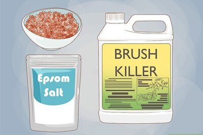 How to Kill and Remove a Tree Stump Yourself