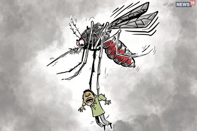 Kolkata Doctors Find Unusual Symptoms in Patients as City Copes with Dengue Ahead of Kali Puja