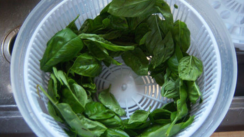 How to Store Fresh Basil in Olive Oil