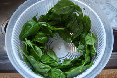 How to Store Fresh Basil in Olive Oil