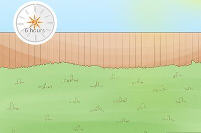 How to Prepare a New Garden Bed