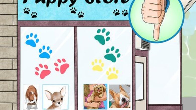 How to Help Shut Down Puppy Mills