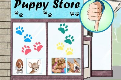 How to Help Shut Down Puppy Mills