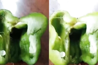 Watching Threadworm Lurking Inside Capsicum, Internet Goes OMG!