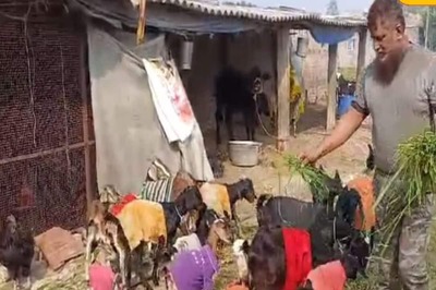 This Bihar Govt Worker Earns Rs 50,000 Every Month Through Part-time Poultry Farming