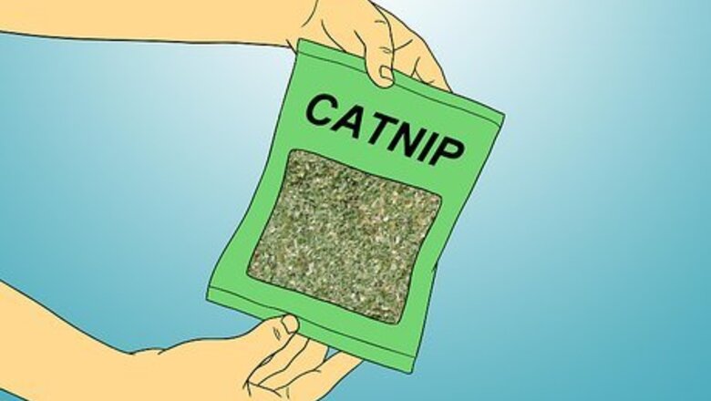 How to Make Catnip Spray