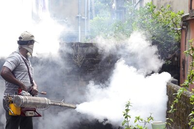 Delhi Reports 5 Fresh Dengue Cases in a Week, Tally Rises to 74
