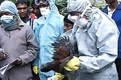 After bird flu, West Bengal gets an Anthrax shock