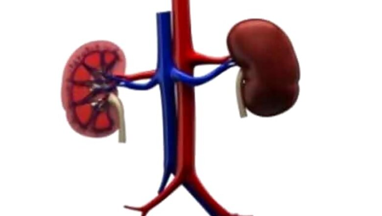 High BP, if uncontrolled, can affect kidney: Dr Sanjay K Agarwal