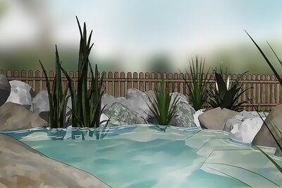 How to Attract Dragonflies