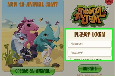 How to Have Fun on Animal Jam