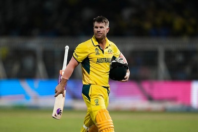 David Warner Withdraws From India T20I Series After Winning ODI World Cup