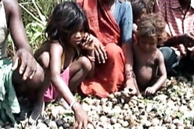 Cit Journo: Tribals survive on snails