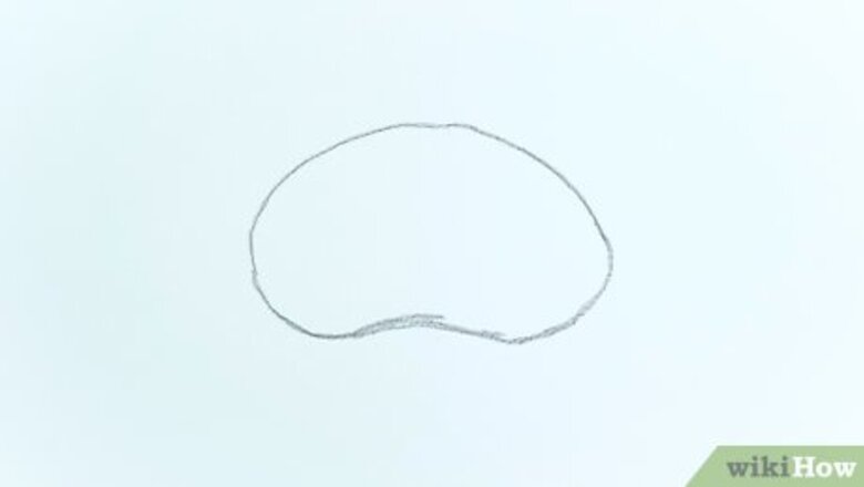 How to Draw a Brain
