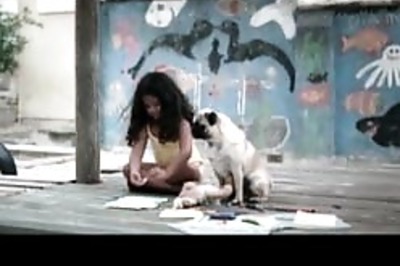 Vodafone replies to Animal Welfare Board | Pug ad row