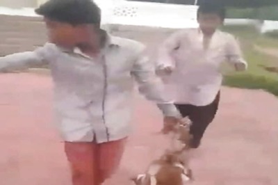 Eight Hyderabad Boys Held For Setting Three Puppies Ablaze