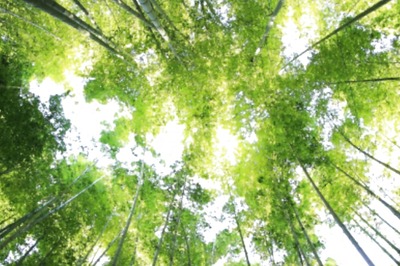 News18 Evening Digest: Modi Govt Rebuts Environment Survey's 'Worst Sustainable Country' Rating and Otehr Top Stories