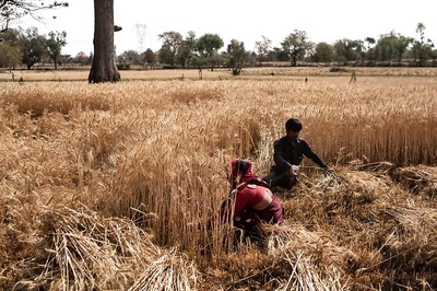 Cash Transfers, Food For All: How Govt May Balance Fiscal Concerns with Growing Hunger & Poverty