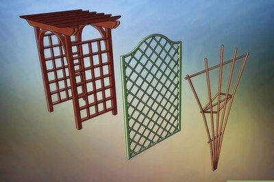 How to Build a Vertical Garden