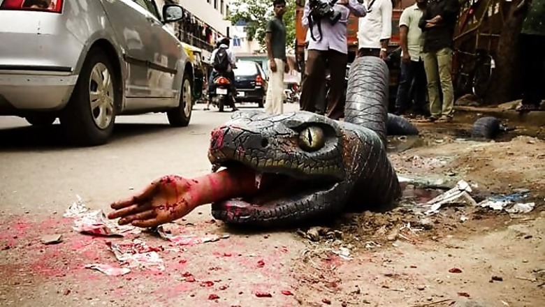 Artists use crocodiles, anacondas to draw BBMP's attention to pathetic condition of roads across Bengaluru