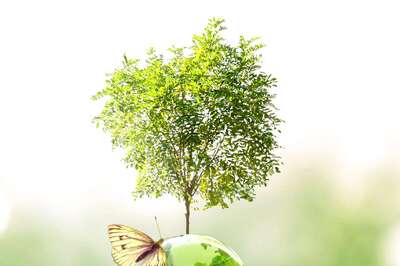 Green Hydrogen Policy Explained: How Indian Govt is Pushing Clean Fuel