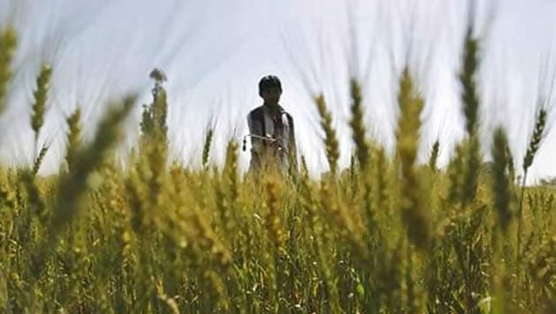 Delhi: Najeeb Jung gives farmers option to sell their produce outside mandis