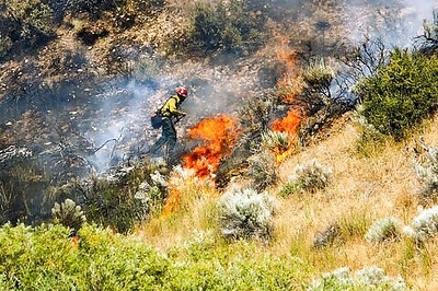 US To Bolster Firefighter Ranks As Wildfires Burn Year-round