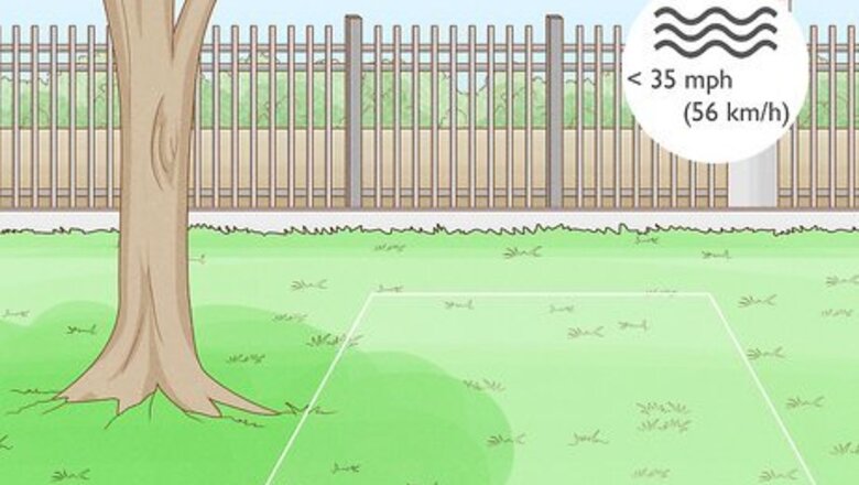 How to Care for Hostas