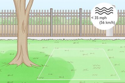 How to Care for Hostas