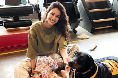 Thinking About Travelling With Your Pet? Here Are Some Pointers That Will Help