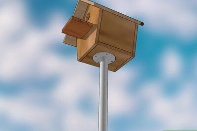 How to Hang a Bird House