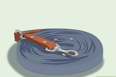 How to Teach Your Horse to Lunge