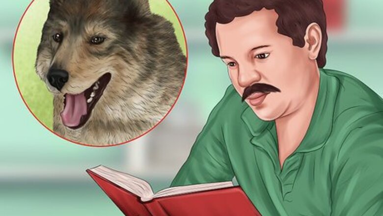 How to Keep an Older Dog Warm in Cold Weather