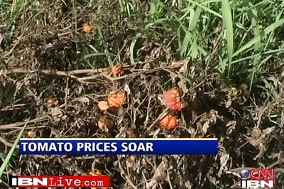 Floods in Punjab, Haryana push up tomato price