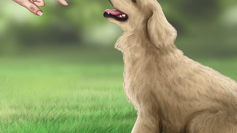 How to Set Ground Rules for Your Dog