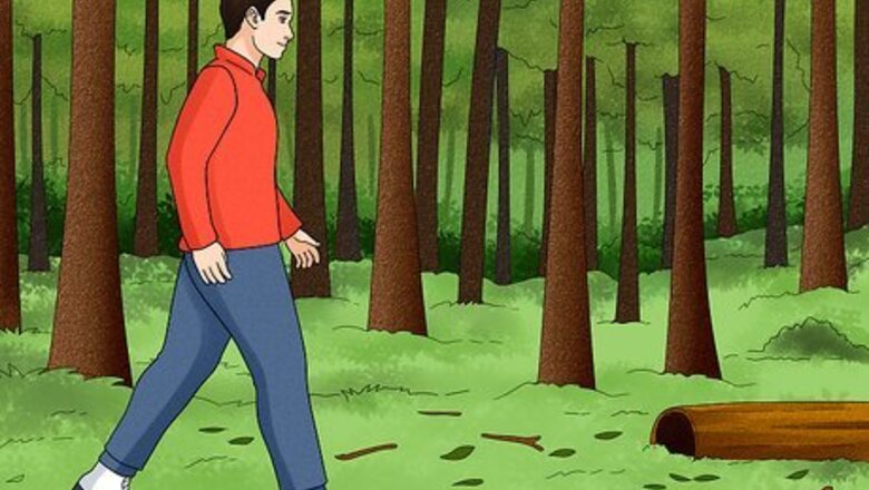 How to Walk Quietly in a Forest